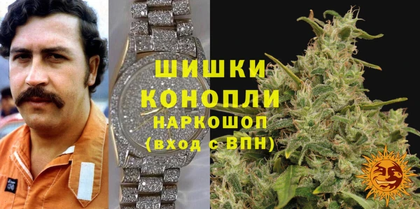 дмт Каменка