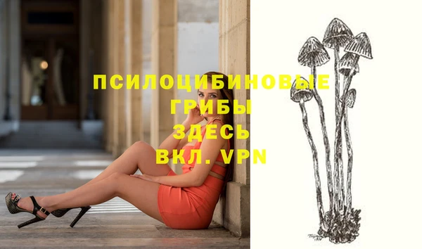 дмт Каменка