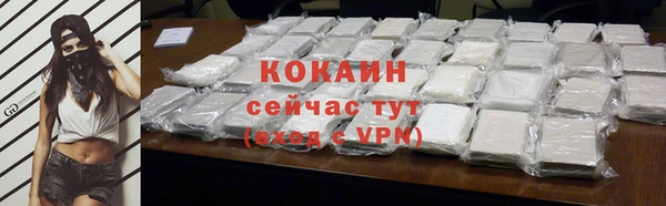 дмт Каменка