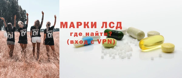 дмт Каменка