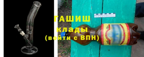 дмт Каменка
