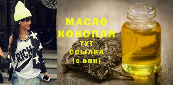 дмт Каменка