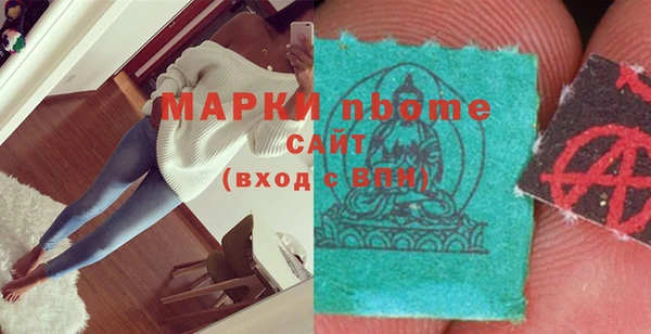 дмт Каменка