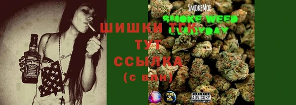 дмт Каменка