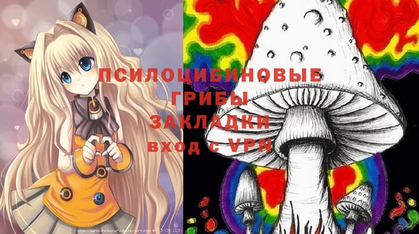прущая мука Каменногорск